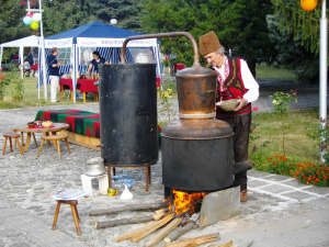 festivalsliva1