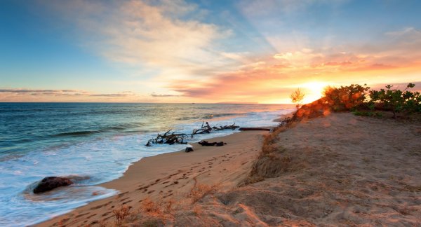 diuni beach