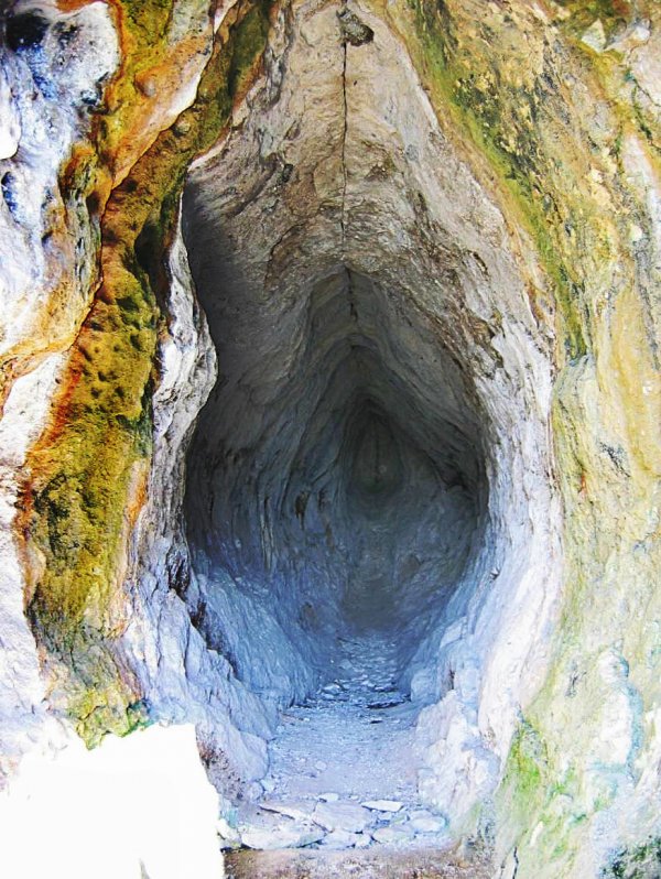 2.womb