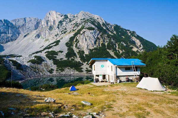 2.синаница