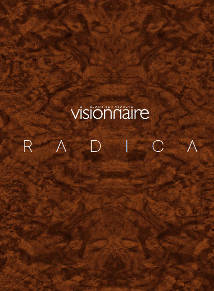 RADICA 2022