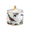 Захарница Gargen's Birds Roberto Cavalli Home Luxury Tableware - Stolbg.com