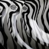 Колекция Zebrage Roberto Cavalli Home Luxury Tableware - Stolbg.com