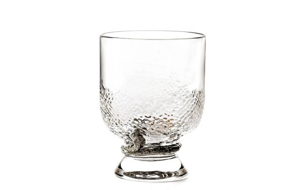 Сет от 2 чаши за уиски Python Platin Roberto Cavalli Home Luxury Tableware - Stolbg.com