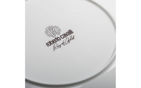 Лого Ray of Gold Roberto Cavalli Home Luxury Tableware - Stolbg.com