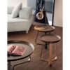Ниска маса FRINFRI, FRINFRI WOOD Bonaldo - 2 - Stolbg.com