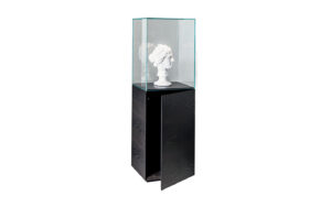 Витрина NEST Sovet - 1 - Stolbg.com