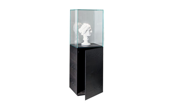 Витрина NEST Sovet - 1 - Stolbg.com