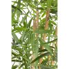 Декоративно растение BAMBOO H155CM Bizzotto - 2 - Stolbg.com
