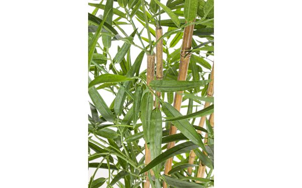 Декоративно растение BAMBOO H155CM Bizzotto - 2 - Stolbg.com