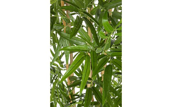 Декоративно растение BAMBOO H185CM Bizzotto - 2 - Stolbg.com
