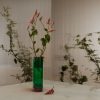 BOTANIST Paul Smith - 6 - Stolbg.com