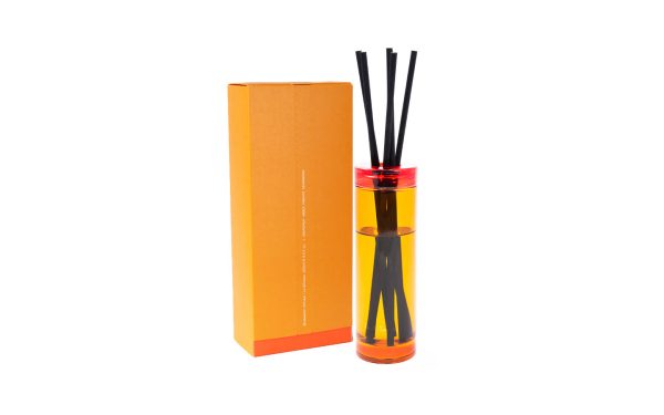 Дифузер BOOKWORM Paul Smith - 2 - Stolbg.com