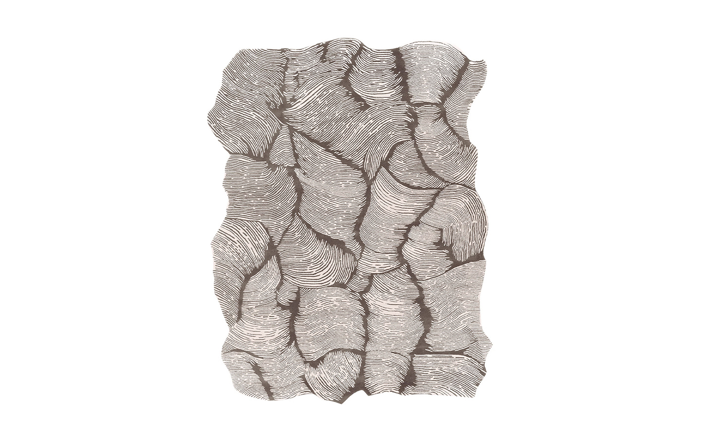 Килим OCEANO RECTANGULAR TAUPE Mohebban - 1 - Stolbg.com