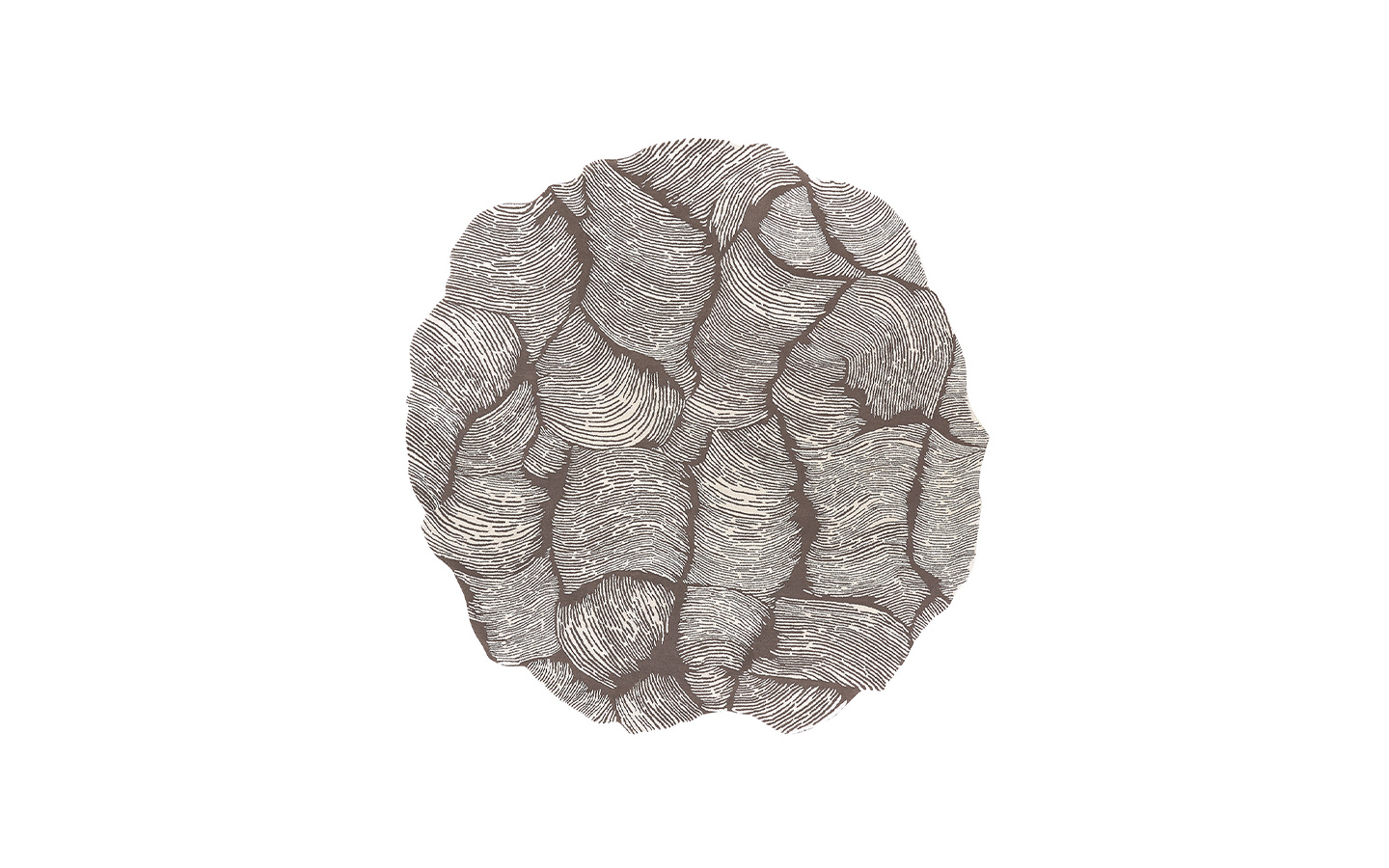 Килим OCEANO ROUND TAUPE Mohebban - 1 - Stolbg.com